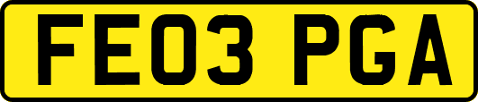 FE03PGA