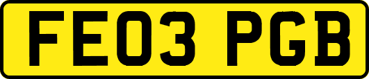 FE03PGB