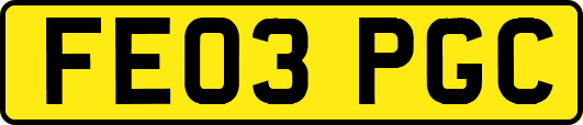 FE03PGC
