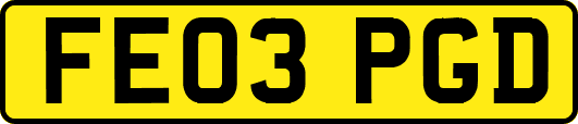 FE03PGD