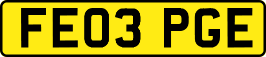 FE03PGE