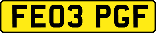 FE03PGF