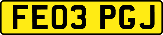 FE03PGJ