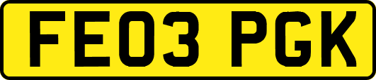 FE03PGK