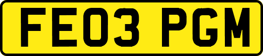 FE03PGM