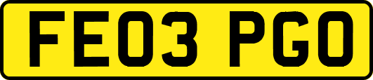 FE03PGO