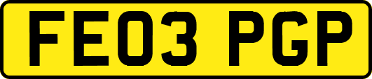 FE03PGP