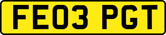 FE03PGT