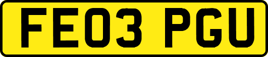 FE03PGU