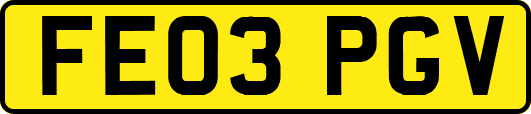 FE03PGV