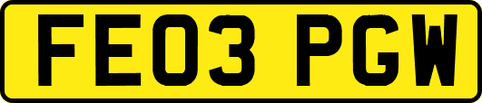FE03PGW