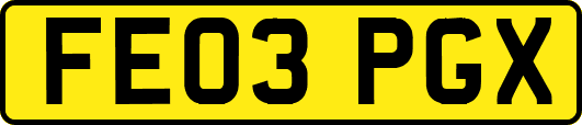 FE03PGX