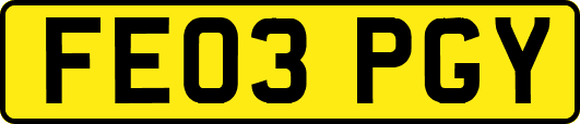 FE03PGY