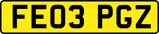 FE03PGZ
