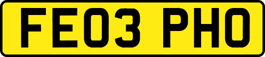 FE03PHO