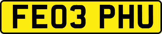 FE03PHU