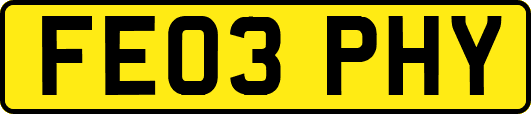 FE03PHY