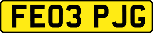 FE03PJG