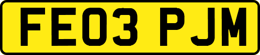 FE03PJM