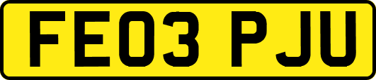 FE03PJU