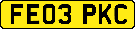 FE03PKC