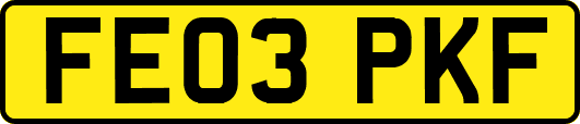 FE03PKF