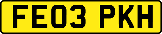 FE03PKH