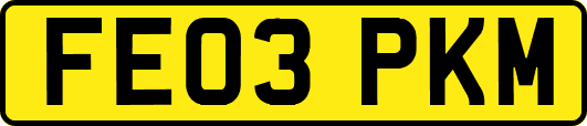 FE03PKM