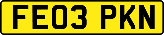 FE03PKN