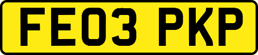 FE03PKP
