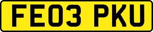 FE03PKU