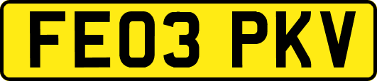 FE03PKV