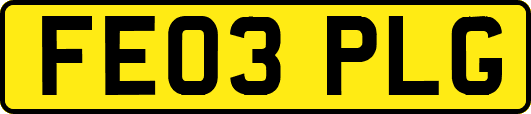 FE03PLG