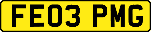 FE03PMG