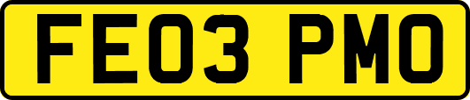 FE03PMO
