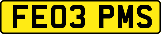 FE03PMS