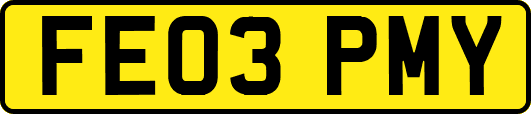 FE03PMY