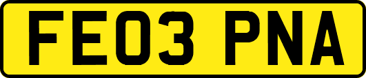 FE03PNA