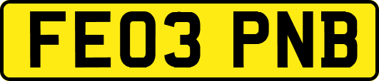 FE03PNB