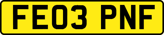 FE03PNF