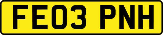FE03PNH