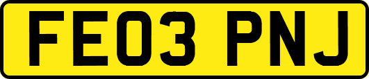FE03PNJ