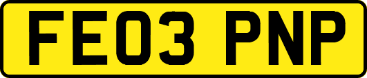 FE03PNP