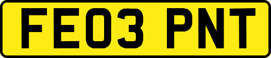 FE03PNT