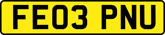 FE03PNU