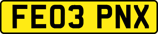 FE03PNX