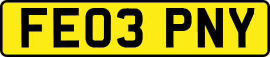 FE03PNY