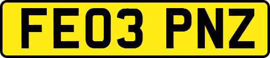 FE03PNZ