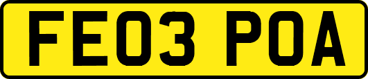 FE03POA
