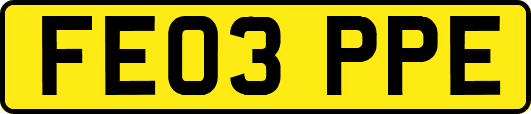 FE03PPE